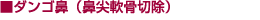 ダンゴ鼻(鼻尖軟骨切除)