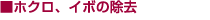  �ق���