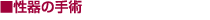 ����̎�p