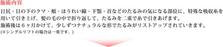 施術内容